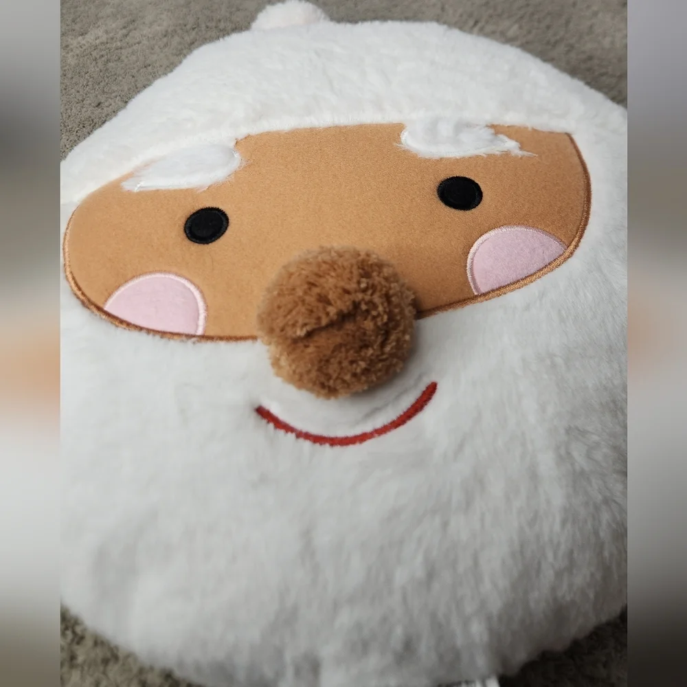 Wondershop reversible santa